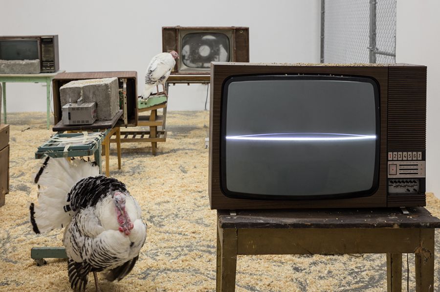 Wolf Vostell – a f a s i a